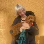 Ersteller:in Maddy Profilbild