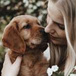 Ersteller:in Elea Profilbild