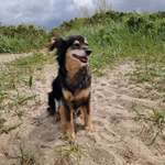 Ersteller:in Corinna Profilbild