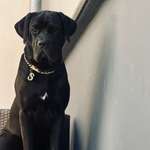 Ersteller:in Dilara Profilbild