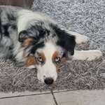 Ersteller:in Katy Profilbild