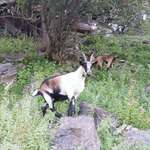 Ersteller:in Janne Profilbild