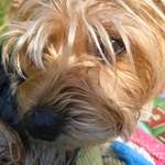 Ersteller:in Janne Profilbild