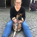 Ersteller:in Lara Profilbild