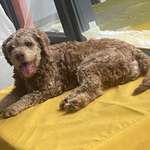 Ersteller:in Gina Profilbild