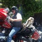 Ersteller:in Bernd Profilbild