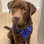 Ersteller:in Emmi Profilbild