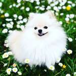 Ersteller:in Pamela Profilbild