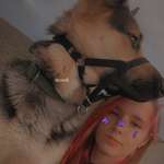 Ersteller:in Levi Profilbild