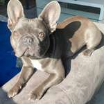 Ersteller:in Anna Profilbild