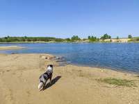 Hundeauslaufgebiet-Sandgrube Landsberg-Bild