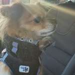 Ersteller:in Jacqueline Profilbild