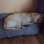 Ersteller:in Melissa-Sue Profilbild