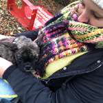 Ersteller:in Dušica Profilbild