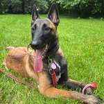 Ersteller:in Angelina Profilbild