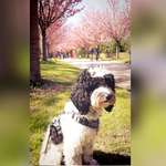 Ersteller:in Marion Profilbild