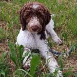 Ersteller:in Melanie Profilbild