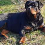 Ersteller:in Doreen Profilbild