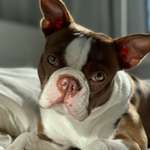 Ersteller:in Lisa Profilbild