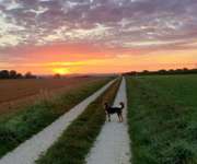 Hundeauslaufgebiet-Bruckersberg-Bild