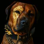 Ersteller:in Juri Profilbild