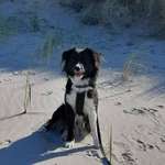 Ersteller:in Ulla Profilbild