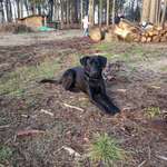 Ersteller:in Linda Profilbild