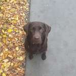 Ersteller:in Marina Profilbild