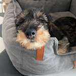 Ersteller:in Rebekka Profilbild