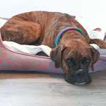 Ersteller:in Corinna Profilbild