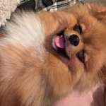 Ersteller:in 𝓢𝓮𝓵𝓲𝓷𝓪 Profilbild