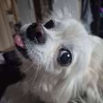 Ersteller:in Nara Profilbild