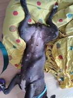 Ausschlag? Allergie? Was könnte das sein.?-Beitrag-Bild