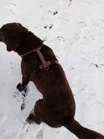 Verletzende Sprüche/Kommentare von anderen-Beitrag-Bild