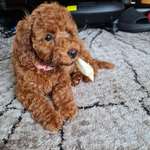 Ersteller:in Bettina Profilbild