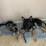 Ersteller:in Michelle Profilbild