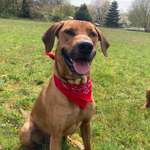 Ersteller:in Pia Profilbild