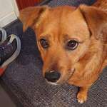 Ersteller:in Oliver Profilbild