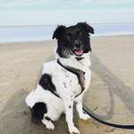 Ersteller:in William Profilbild