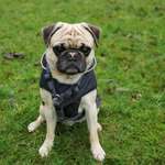 Ersteller:in Petra Profilbild