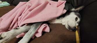 Alltag - Wie kommt ihr zurecht?-Beitrag-Bild