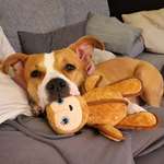 Ersteller:in Luisa Profilbild