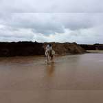 Ersteller:in Antonia Profilbild