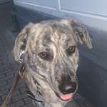 Ersteller:in Sandra Profilbild