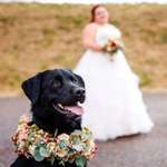 Ersteller:in Anna Profilbild