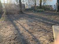 Hundeauslaufgebiet-Eingezäunte Freilauf Hundeplatz-Bild