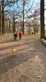 Hundeauslaufgebiet-Eichenhain-Bild