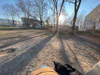 Hundeauslaufgebiet-Eingezäunte Freilauf Hundeplatz-Bild