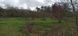 Hundeauslaufgebiet-Hundefreilauf Wyk-Bild