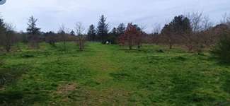 Hundeauslaufgebiet-Hundefreilauf Wyk-Bild